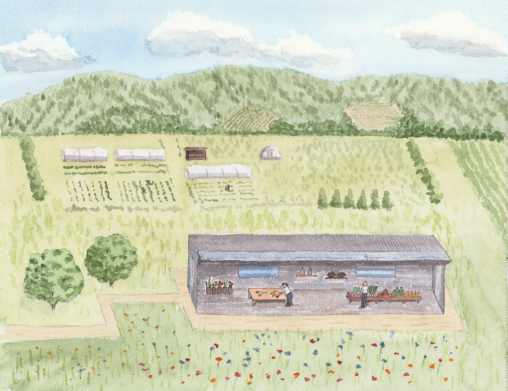 Farm store watercolor illustration