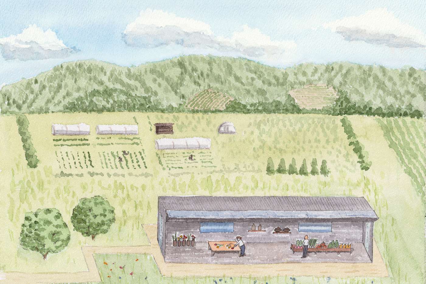 Painting of Farm Store