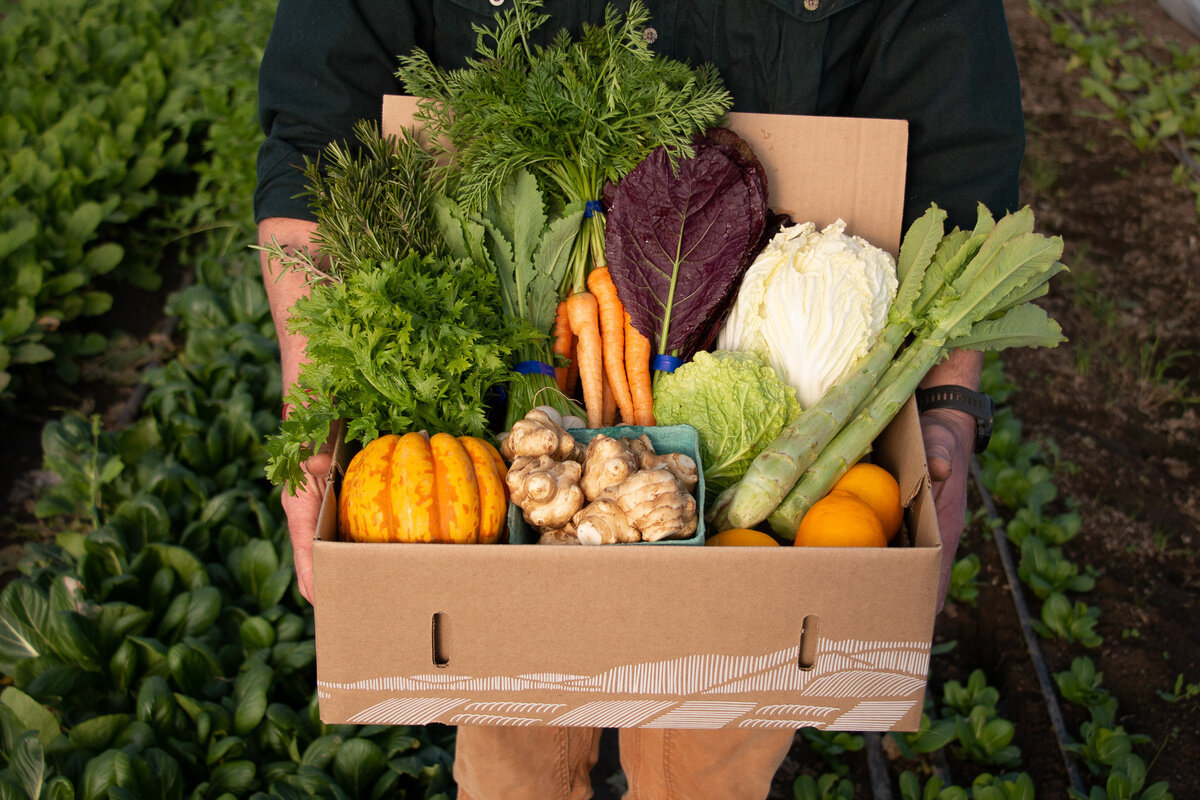 BOX OF VEGETABLES